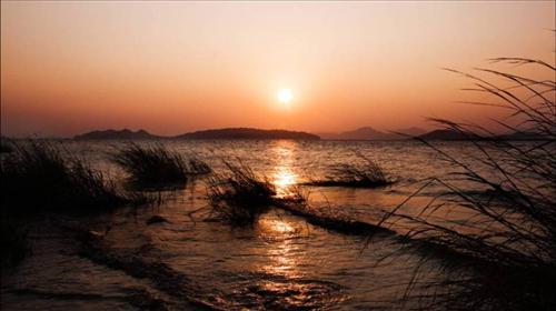 玉環漩門灣觀光農業園圖片